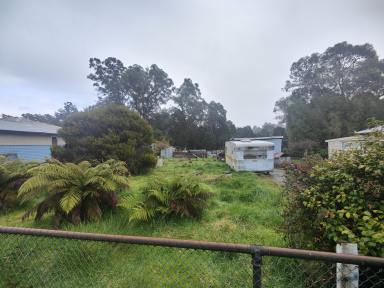 Residential Block Auction - TAS - Rosebery - 7470 - Auction  (Image 2)
