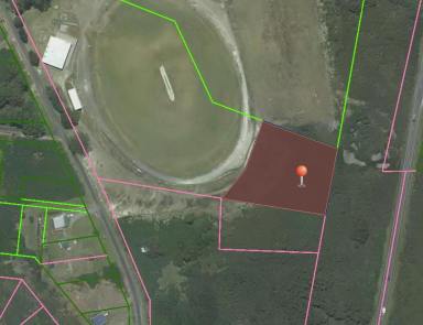 Residential Block Auction - TAS - Zeehan - 7469 - Lot 3 Buller Street  (Image 2)