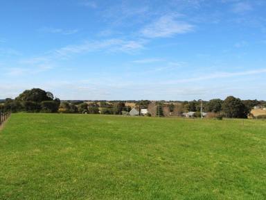 Residential Block For Sale - VIC - Wy Yung - 3875 - LIVE ON LANTERIS  (Image 2)