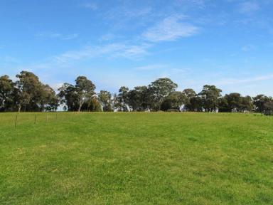 Residential Block For Sale - VIC - Wy Yung - 3875 - LIVE ON LANTERIS  (Image 2)