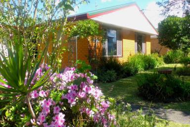 House For Sale - NSW - Gorokan - 2263 - Ideally positioned close to the shores of Budgewoi Lake  (Image 2)