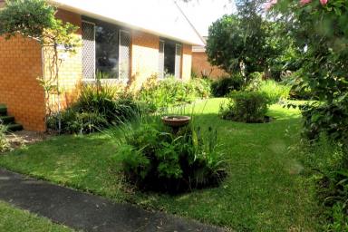 House For Sale - NSW - Gorokan - 2263 - Ideally positioned close to the shores of Budgewoi Lake  (Image 2)