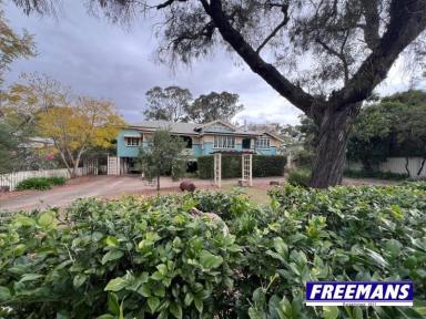 House For Sale - QLD - Kingaroy - 4610 - Half an acre with a stunning Queenslander  (Image 2)