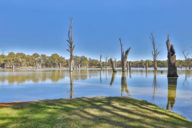 House For Sale - NSW - Gol Gol - 2738 - THIS IS WHERE DREAMS ARE MADE!  (Image 2)