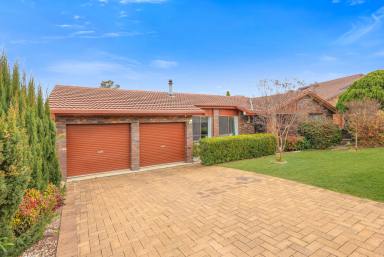 House Sold - NSW - Tamworth - 2340 - SPACIOUS FAMILY GEM  (Image 2)