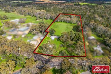 House For Sale - SA - Lyndoch - 5351 - OUTSTANDING 6 ACRES (2.4HA) ALLOTMENT IN LYNDOCH! NO WAY? YES WAY!  (Image 2)