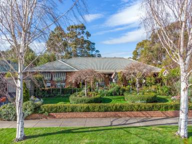 House For Sale - TAS - Newnham - 7248 - Warm, Welcoming and Well located!  (Image 2)