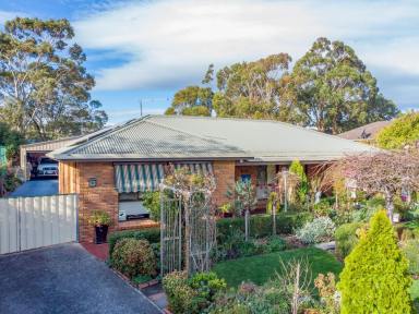 House For Sale - TAS - Newnham - 7248 - Warm, Welcoming and Well located!  (Image 2)