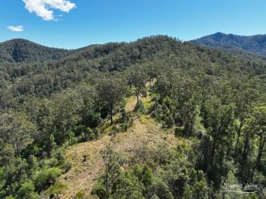 Residential Block For Sale - NSW - Mount George - 2424 - 57ha Native Bush Haven – Your Private Hilltop Sanctuary.  (Image 2)