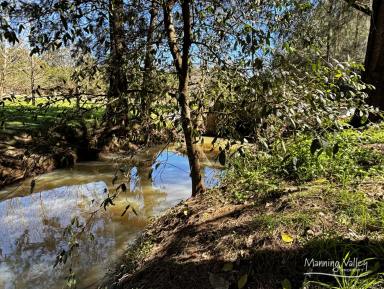 Residential Block For Sale - NSW - Mount George - 2424 - 57ha Native Bush Haven – Your Private Hilltop Sanctuary.  (Image 2)