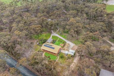 House For Sale - VIC - Longlea - 3551 - Lifestyle, Space & Serenity – Just 15 Minutes from Bendigo  (Image 2)
