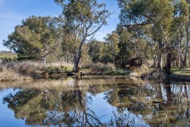 Acreage/Semi-rural Auction - NSW - Yass - 2582 - Your Paddock-to-Plate Lifestyle Awaits  (Image 2)