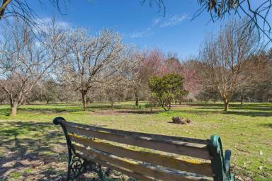 Acreage/Semi-rural For Sale - NSW - Yass - 2582 - Your Paddock-to-Plate Lifestyle Awaits (Image 2)