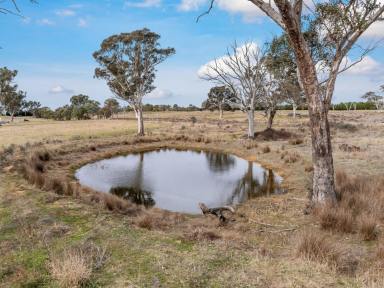 Residential Block For Sale - NSW - Murrumbateman - 2582 - Space, Serenity and Freedom on 23 Acres (Image 2)