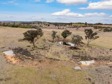 Residential Block Auction - NSW - Murrumbateman - 2582 - Space, Serenity and Freedom on 23 Acres  (Image 2)