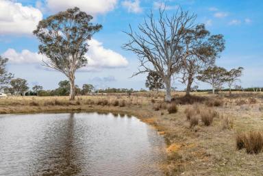 Residential Block For Sale - NSW - Murrumbateman - 2582 - Space, Serenity and Freedom on 23 Acres  (Image 2)