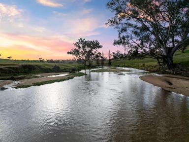 Lifestyle For Sale - NSW - Jugiong - 2726 - Rare 192* Acre Pocket of Paradise on Jugiong Creek  (Image 2)