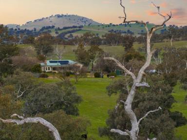 Lifestyle For Sale - NSW - Jugiong - 2726 - Rare 192* Acre Pocket of Paradise on Jugiong Creek  (Image 2)