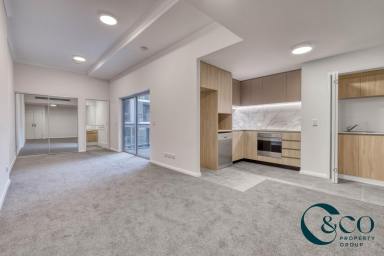 Studio Leased - WA - Subiaco - 6008 - Modern Studio Living in the Heart of It All  (Image 2)