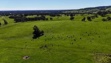 Mixed Farming For Sale - WA - Burekup - 6227 - Prime Rural Landholding On The Doorstep of Burekup  (Image 2)