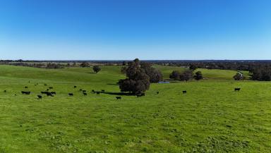 Mixed Farming For Sale - WA - Burekup - 6227 - Prime Rural Landholding On The Doorstep of Burekup  (Image 2)