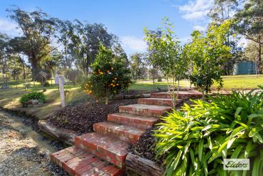 House For Sale - VIC - Briagolong - 3860 - Nature's Hideaway  (Image 2)