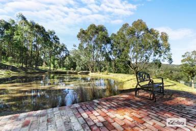 House For Sale - VIC - Briagolong - 3860 - Nature's Hideaway  (Image 2)