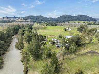 House For Sale - NSW - Glen William - 2321 - Acreage Living with sweeping river views and 400m of William River Frontage  (Image 2)