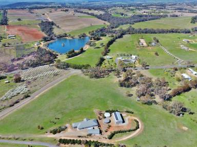 House For Sale - NSW - Young - 2594 - Hamptons Elegance with Breathtaking Views  (Image 2)