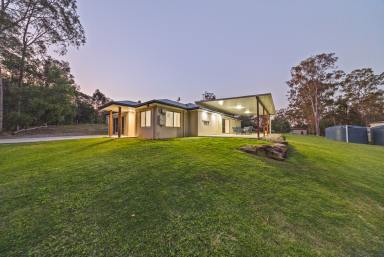 Acreage/Semi-rural For Sale - QLD - The Palms - 4570 - A Private, Breezy Rural Escape with Outstanding Infrastructure  (Image 2)