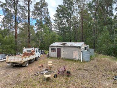 Lifestyle For Sale - NSW - Kippaxs - 2429 - 242.8 HA with building entitlement !  (Image 2)