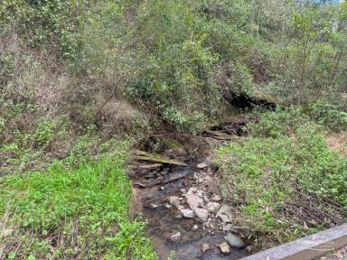 Lifestyle For Sale - NSW - Kippaxs - 2429 - 242.8 HA with building entitlement !  (Image 2)