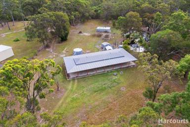 House For Sale - QLD - Pacific Haven - 4659 - Exceptional 2.6 Acreage Close to River Access  (Image 2)