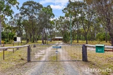 House For Sale - QLD - Pacific Haven - 4659 - Exceptional 2.6 Acreage Close to River Access  (Image 2)
