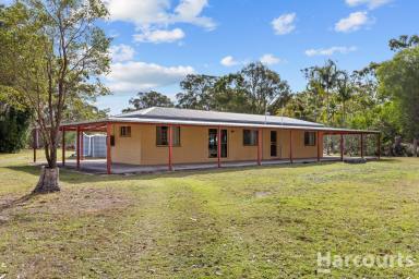 House For Sale - QLD - Pacific Haven - 4659 - Exceptional 2.6 Acreage Close to River Access  (Image 2)