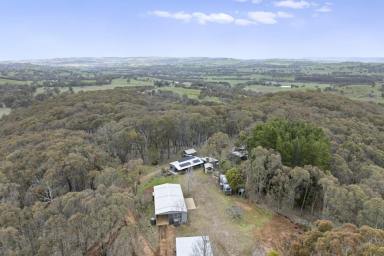 Lifestyle For Sale - VIC - Merton - 3715 - "Pepperbark Farm"  (Image 2)