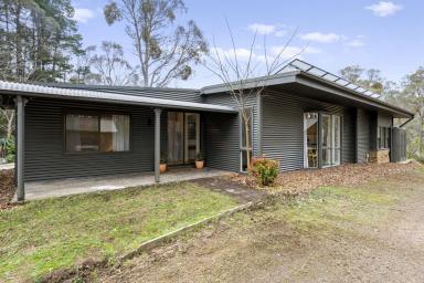 Lifestyle For Sale - VIC - Merton - 3715 - "Pepperbark Farm"  (Image 2)