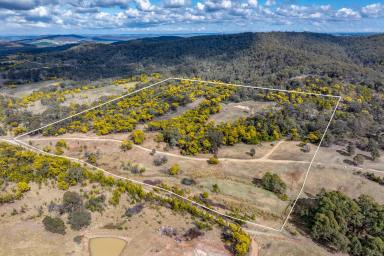 Other (Rural) Auction - NSW - Goulburn - 2580 - Land with Shed approval for a unique Lifestyle  (Image 2)