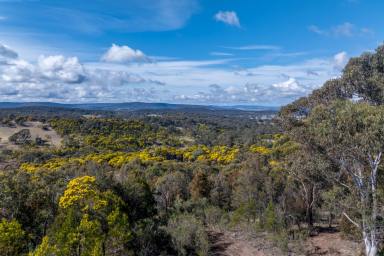 Other (Rural) Auction - NSW - Goulburn - 2580 - Land with Shed approval for a unique Lifestyle  (Image 2)