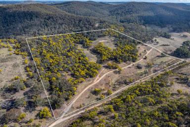 Other (Rural) Auction - NSW - Goulburn - 2580 - Land with Shed approval for a unique Lifestyle  (Image 2)