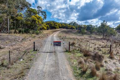 Other (Rural) For Sale - NSW - Goulburn - 2580 - Land with Shed approval for a unique Lifestyle  (Image 2)
