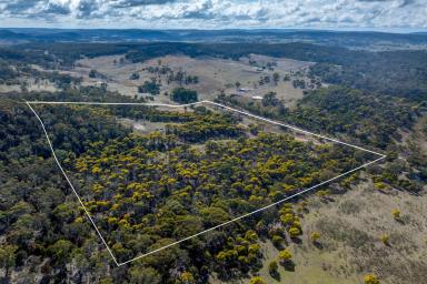 Other (Rural) Auction - NSW - Goulburn - 2580 - Land with Shed approval for a unique Lifestyle  (Image 2)