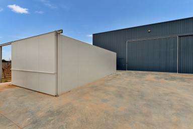 Cropping For Sale - VIC - Merbein - 3505 - Investment-grade Merbein vineyard with patented varieties  (Image 2)