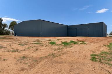 Cropping For Sale - VIC - Merbein - 3505 - Investment-grade Merbein vineyard with patented varieties  (Image 2)