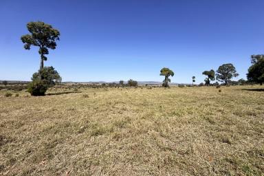 Other (Rural) For Sale - QLD - Biloela - 4715 - Biloela District Bullock or Bull Depot "Basshire"  (Image 2)