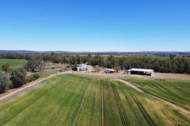 Mixed Farming For Sale - QLD - Goovigen - 4702 - Irrigation, Hay, Grain, Silage, Cattle  (Image 2)