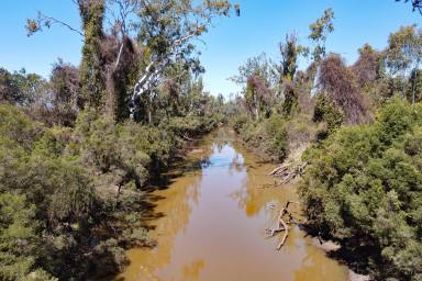 Mixed Farming For Sale - QLD - Goovigen - 4702 - Irrigation, Hay, Grain, Silage, Cattle  (Image 2)