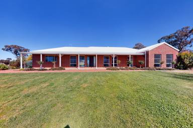House For Sale - NSW - Merriwa - 2329 - Magnificent Equine Property!  (Image 2)