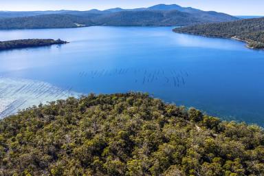 Residential Block For Sale - TAS - Taranna - 7180 - A Rare Legacy Opportunity on Tasmania's Coastline! Where Wilderness and Waterfront Become One  (Image 2)