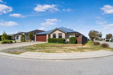 House Sold - WA - Banksia Grove - 6031 - Modern 4-Bedroom Family Home in Sought-After Banksia Grove (Image 2)